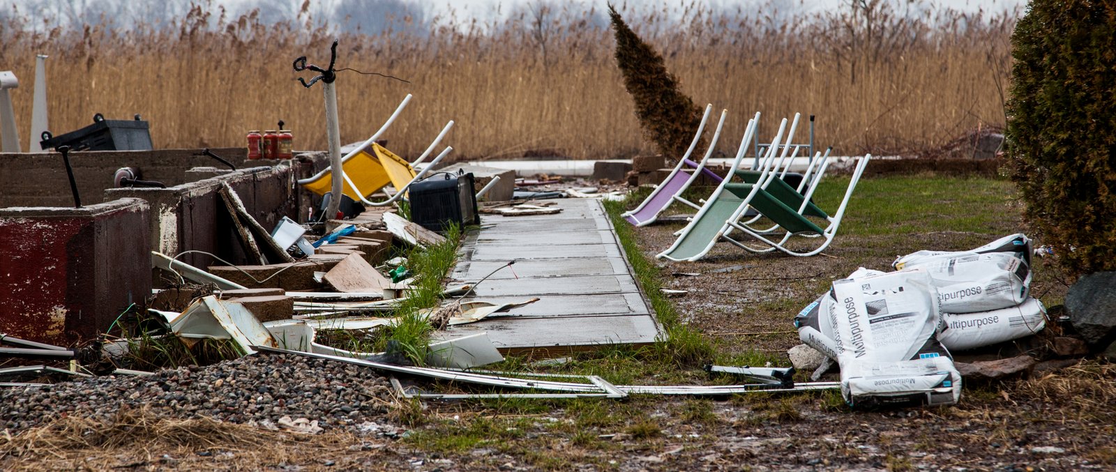 art-of-sandy-mo-staten island 2-59.jpg